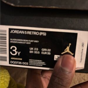 Jordan 5 Retro PS in Silver and Green